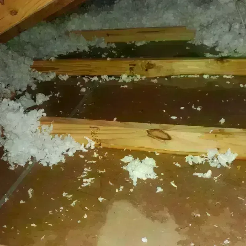 Attic Water Damage in Belfield, ND